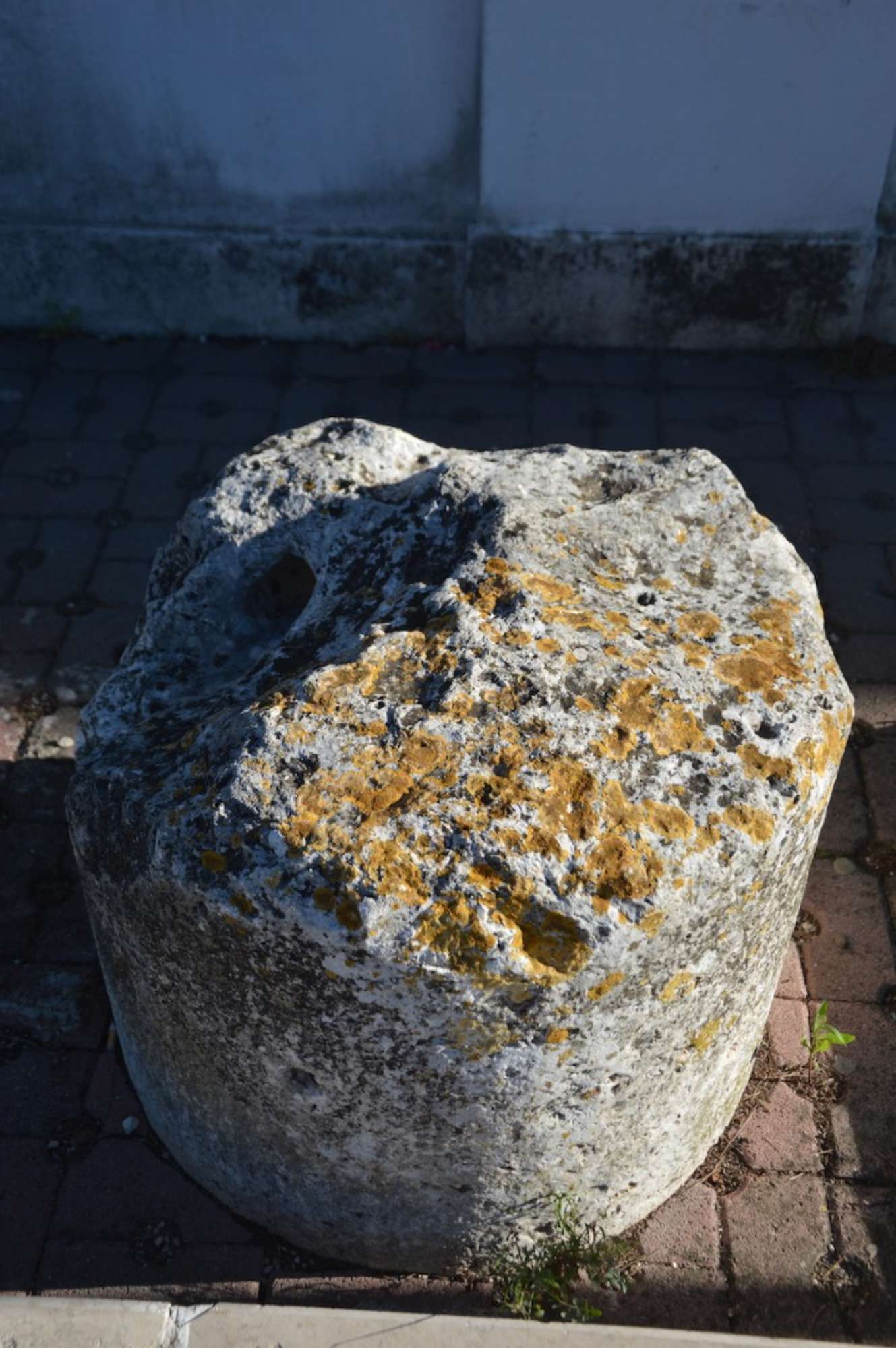dettaglio